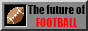 17776_14.gif