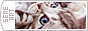 archived 88x31 button #75631