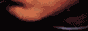 rdFfcFV.gif