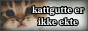 harperbutton.gif
