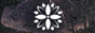 archived 88x31 button #75649