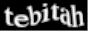 esteste2007.gif
