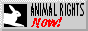 animalrightsnow.gif