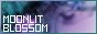 a165.jpeg