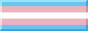 transflag.jpeg