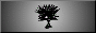 noidebtn.gif