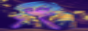 wide_yas.png