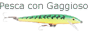 FISH.gif