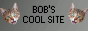 bobscoolsite-NEW.gif
