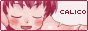 calico_2.png