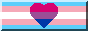 transbi.png