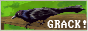 radix.png