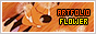 archived 88x31 button #76526