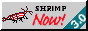 smallstriataf.png