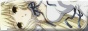 IMG_2917.jpeg
