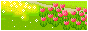 es.geocities.com_kawaii_angeles_6.gif