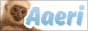 aaeri_2.gif