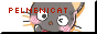 pelmenicat.png