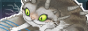 Cataliszt.png