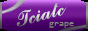 twocatsinatrenchcoat.png