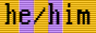 pronoun-vga-he-him-inter.png
