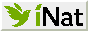 inat.png