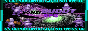 bonzibutton.png