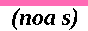 noa-s.png