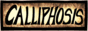 callibutton.gif