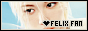 felixfan88x31-001942.png