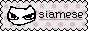 siamese.gif