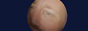 rollinglee.png