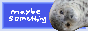 maybesomething.png