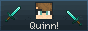 quinnithan.gif