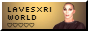laverinxbutton.png