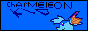 charmeleonkid.gif