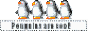 penguinsarecool.gif