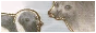 archived 88x31 button #77667