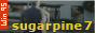 sugarpine.png