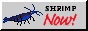 bigrustyoebtsm.png