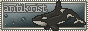 antikrist.png