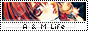 archived 88x31 button #77774
