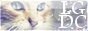 archived 88x31 button #77803