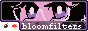 bloomfilters.gif