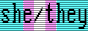 pronoun-vga-she-they-trans.png