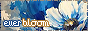 88x31_1.png