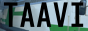 taavi.png