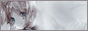 archived 88x31 button #33635