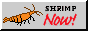 bigorangecherryf.png