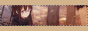 archived 88x31 button #78218